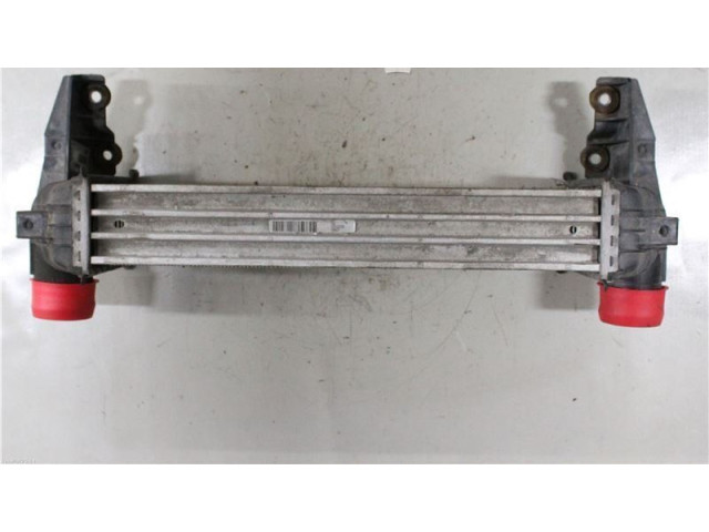 Интеркулер     Ford Transit -  Tourneo Connect 