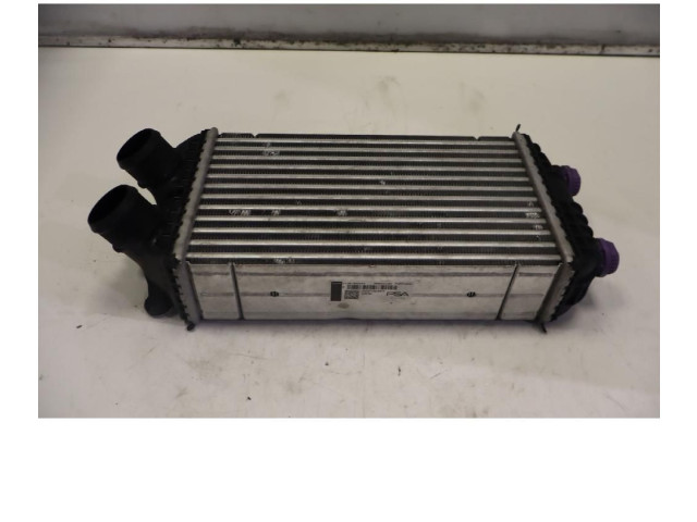 Интеркулер  9828172080   Peugeot 2008 II 