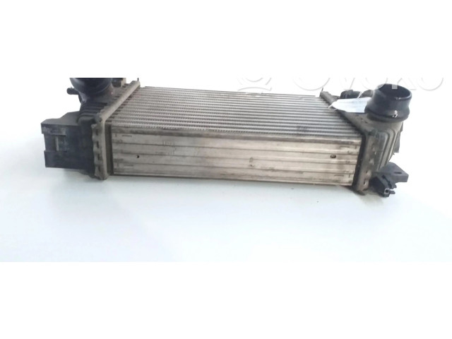 Интеркулер T2935004 Opel Meriva B