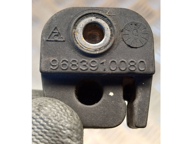 Zpětné zrcátko Citroen Berlingo 2010 9683910080