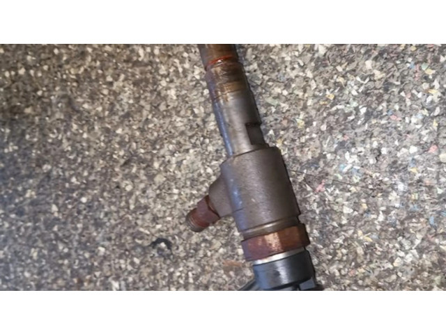 Форсунка 0445110252    Citroen Nemo для дизельного двигателя  1.4