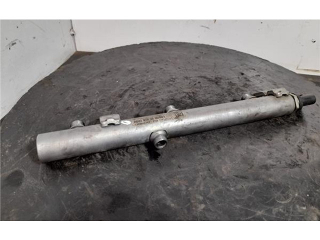 Vstřikovací lišta A6420703095 Mercedes-Benz E W212