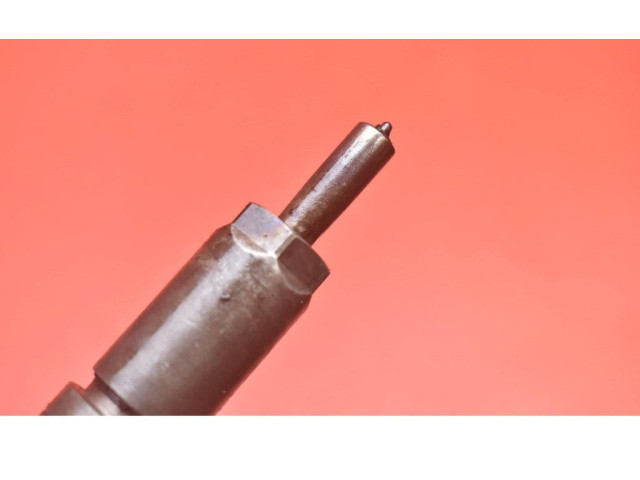 Форсунка 0445110252, 0445110252    Citroen Nemo   