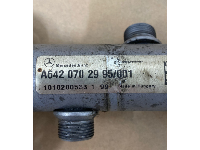 Vstřikovací lišta A6420702995, 1010200533 Mercedes-Benz E C207 W207