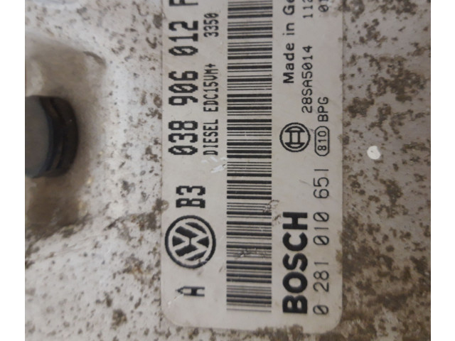 Řídící jednotka 038906012FB, 0281010651 Volkswagen Golf IV 2002