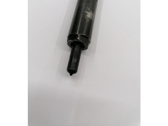 Vstřikovač 28232251, 0424AH03W06 Nissan Note (E11)