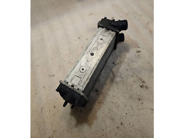 Интеркулер 9648551880, 1876923J Citroen C4 I