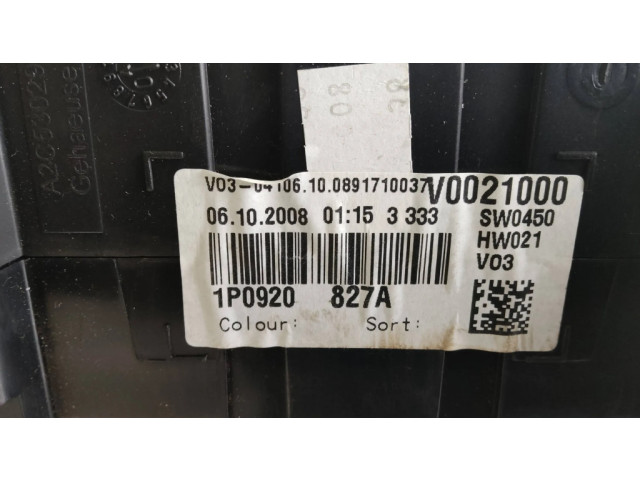 Přístrojová deska Seat Leon (1P) 2009 1P0920827A, V0021000