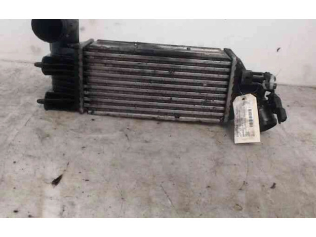 Интеркулер 384F3, 384F3 Peugeot 607