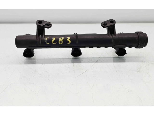 Топливная рампа 04C133313N   Skoda Fabia Mk3 (NJ)  