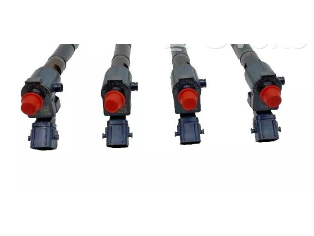 Комплект форсунок 36010090, VEA132370010CAA Volvo S60 D 4204 T14