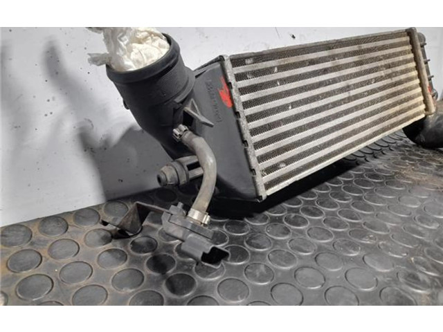 Интеркулер 1489396080 Citroen C8