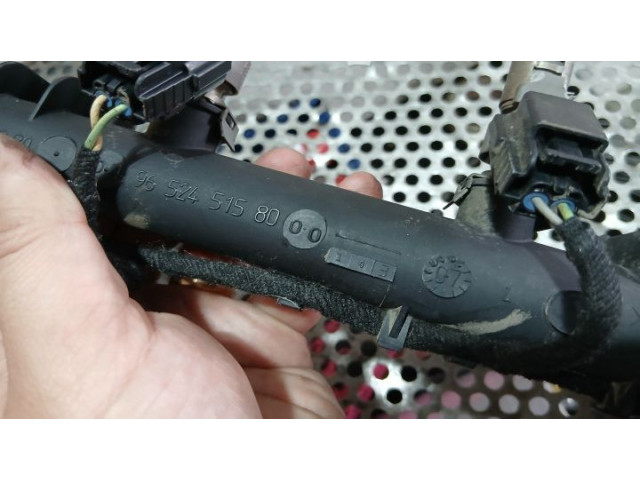 Топливная рампа 9652451580   Citroen C4 I  