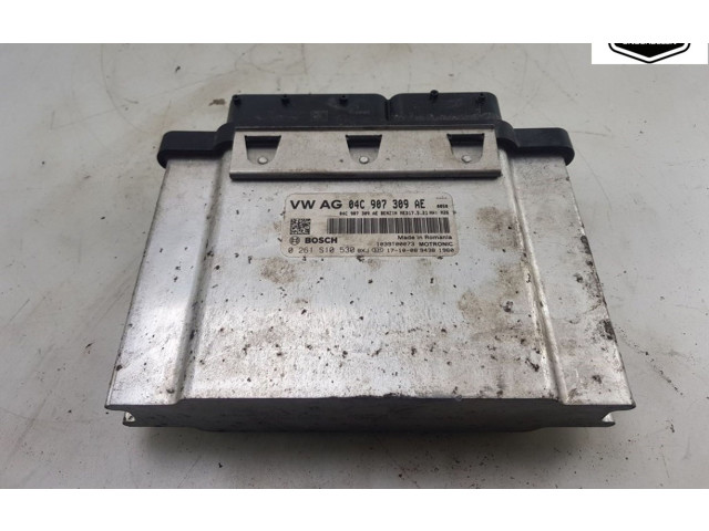 Блок управления двигателя 04C907309AE, 04C907309AE Skoda Fabia Mk3 (NJ)