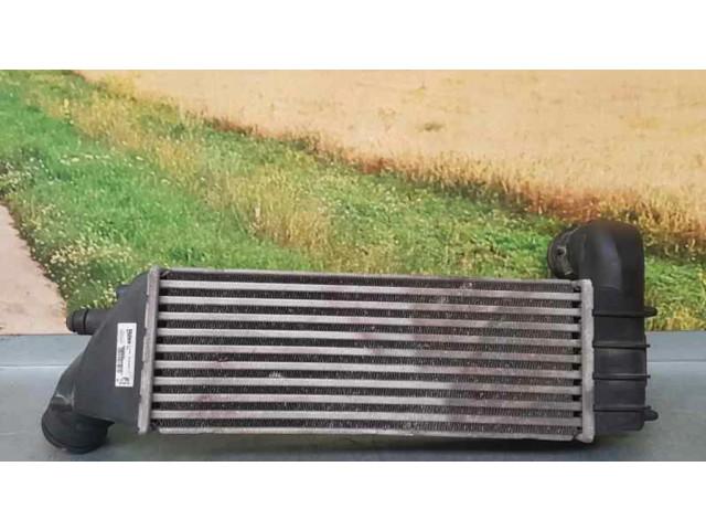 Интеркулер Citroen C8