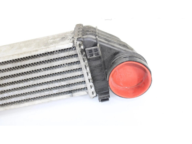 Интеркулер  A1695000000   Mercedes-Benz A W169 