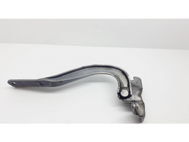 Петля (петли) капота двигателя