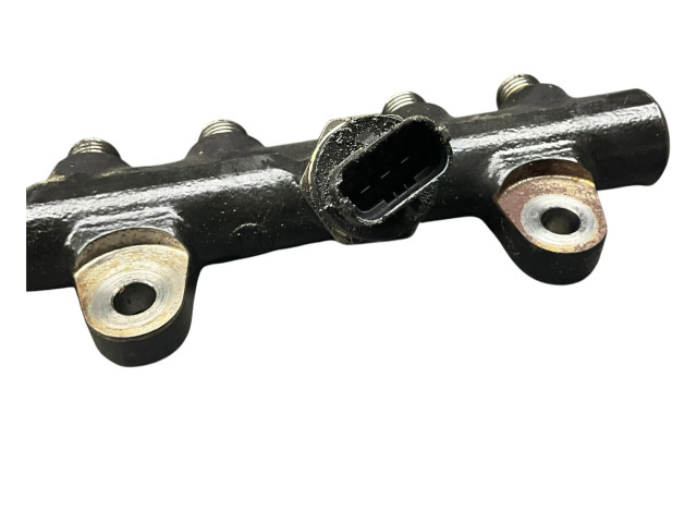 Vstřikovací lišta 175215346R, H8201157327 Renault Clio IV