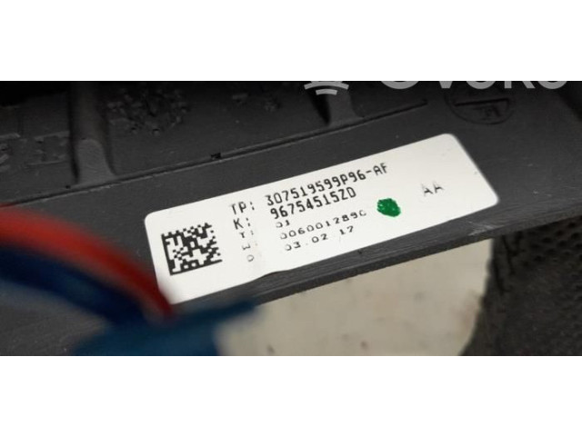 Руль Citroen C4 I Picasso 2006 - 2013 года 307519599P96AF, 4109QT