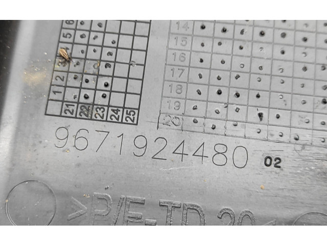 Блок предохранителей 9671924480 Citroen C3 Aircross