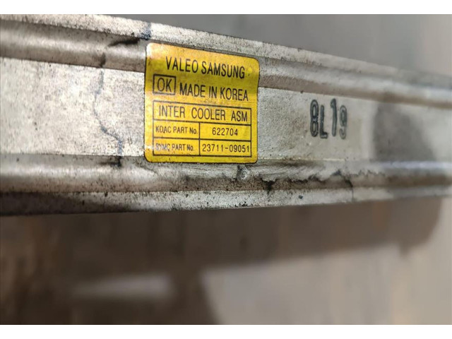 Интеркулер 622704 SsangYong Actyon sports I