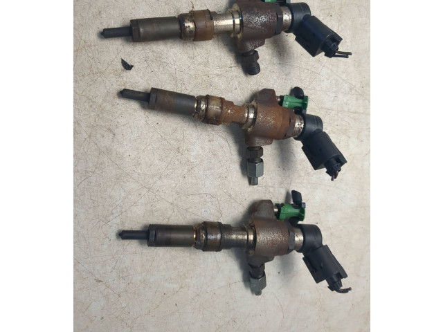 Комплект форсунок 50274v05 Citroen DS4 Dv6c