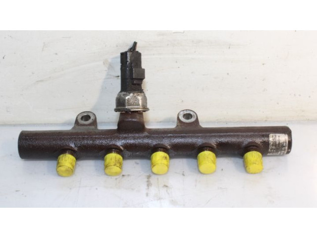 Топливная рампа    Renault Clio III  