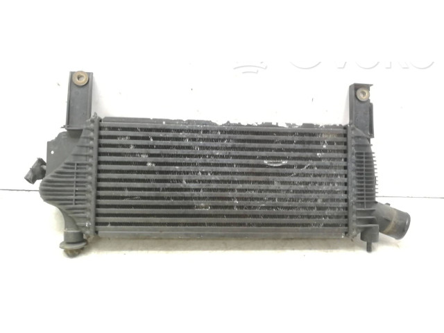 Интеркулер Nissan Pathfinder R51