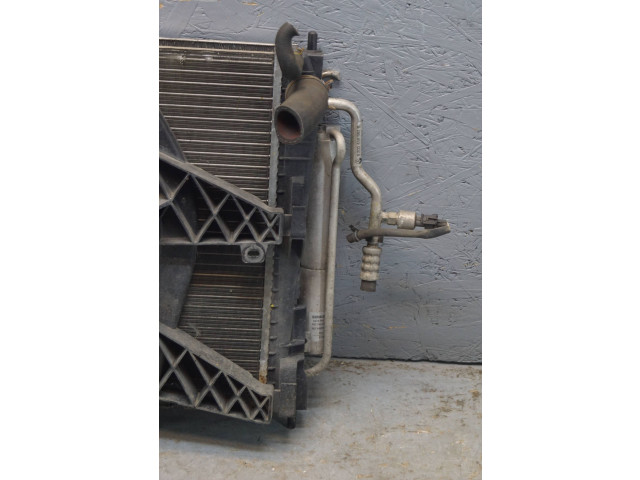 Вентилятор радиатора         Renault Twingo II 