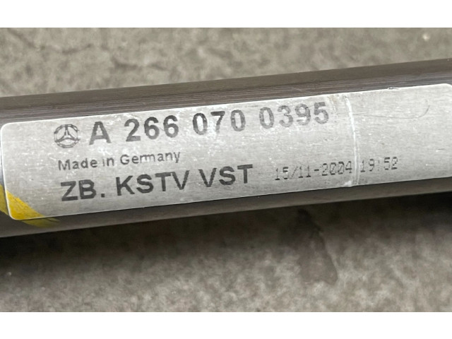 Топливная рампа A2660700395, A2660700395   Mercedes-Benz A W169  