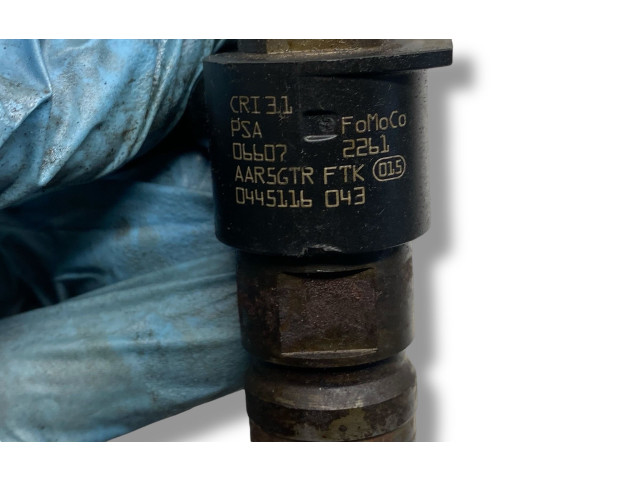 Комплект форсунок 0445116043, CSTMT Jaguar XF X250 224DT