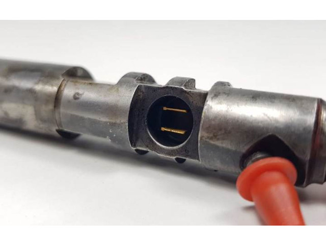 Форсунка A6650170121 SsangYong Rexton 665925