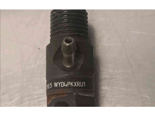 Форсунка 166000897R    Renault Clio III   