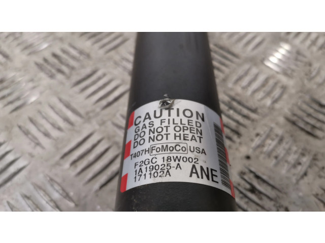 Задний aмортизатор