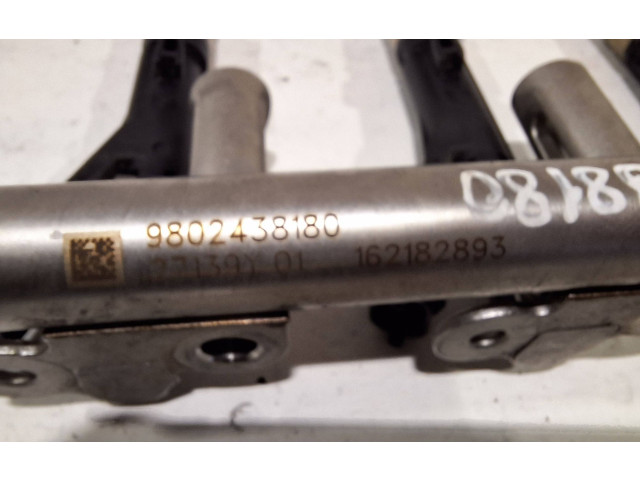 Топливная рампа 9810335380   Citroen C4 II Picasso  