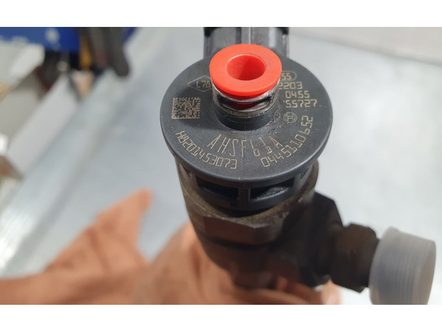 Форсунка H8201453073, BOSCH    Dacia Duster II   