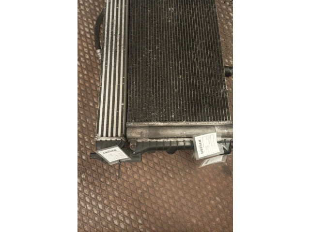 Интеркулер  2TAY0026   Seat Ibiza IV (6J,6P) 