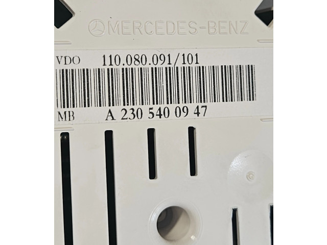 Панель приборов A2305400023, A23054000239128 Mercedes-Benz SL R230