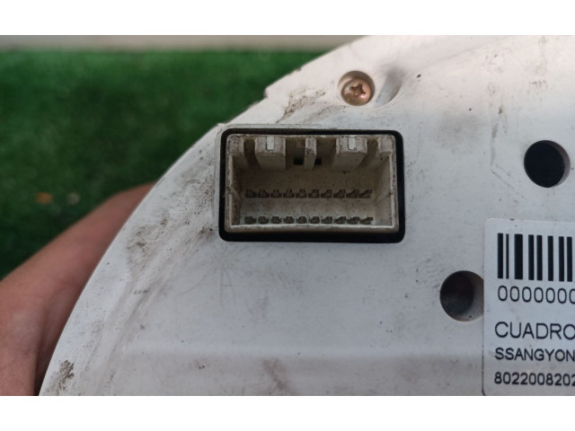 Панель приборов 8022008202, 8022008202 SsangYong Rexton