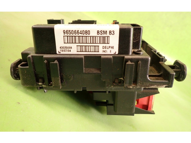 Модуль управления BSM 965066408043025698 Citroen Xsara