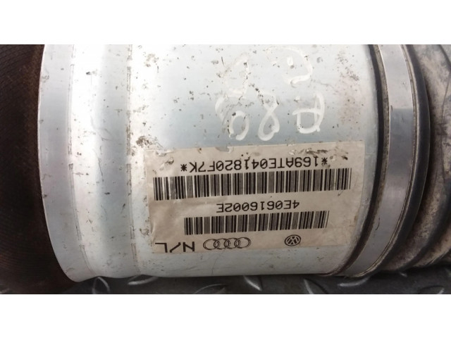 Задний aмортизатор (пневматическое / гидравлическое шасси)