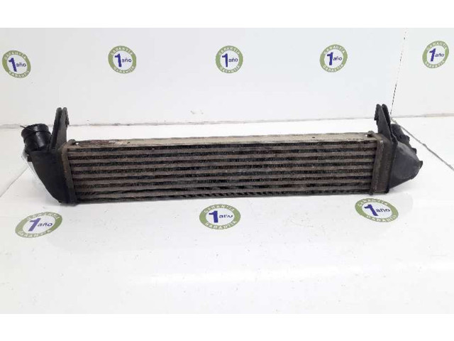 Интеркулер  8200409045, 8200409045   Dacia Duster 