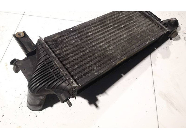 Интеркулер Nissan Pathfinder R51