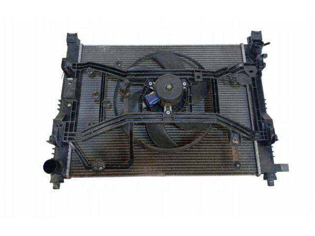 Радиатор охлаждающей жидкости 214107326R, 214107326R Dacia Lodgy