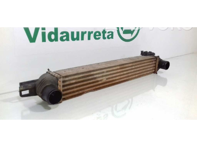 Интеркулер 51790623, L8119001 Fiat Qubo