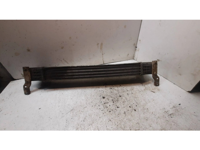Интеркулер 132002748a Ford Galaxy 1.9