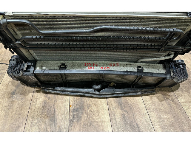 Pojistková skříňka Комплект радиатора 67167, 048222 Mercedes-Benz C W204 2012