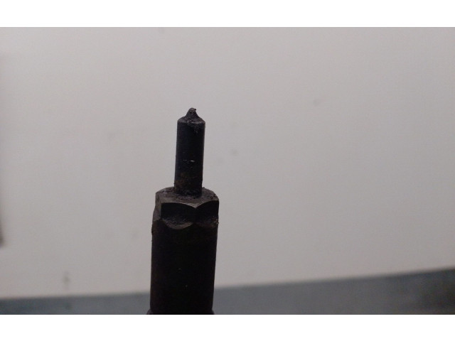 Vstřikovač 0445110059, 0445110059   Chrysler Voyager    D7  VM 