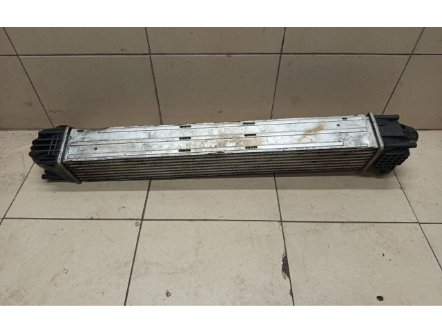 Интеркулер Dacia Duster