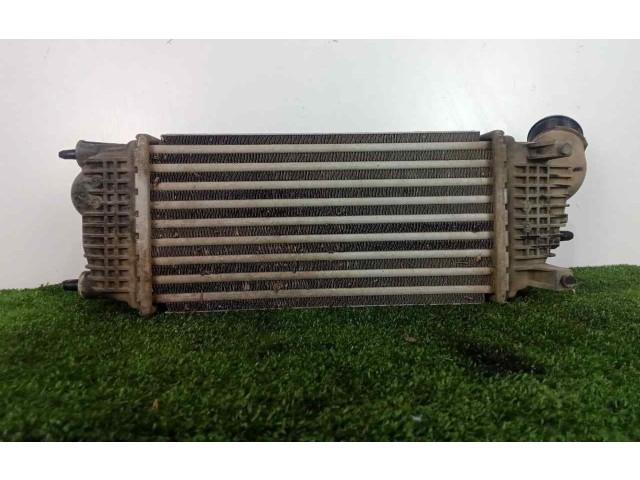 Интеркулер 9683009680, 300X157X81 Citroen C5